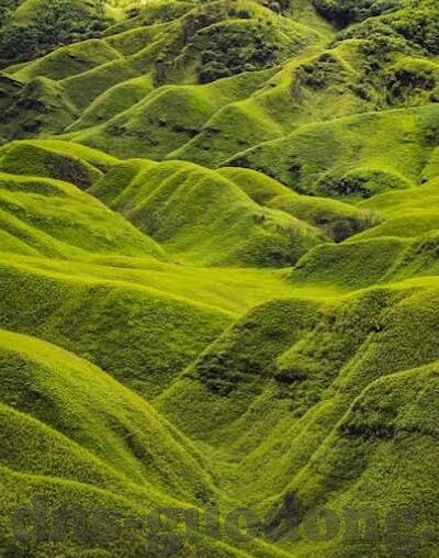 av麻豆电影在线观看-AV麻豆电影在线观看的现状与思考——新时代下的网络文化现象