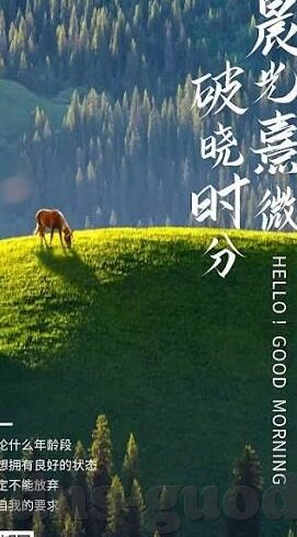 大象传媒怎么下载软件-探索大象传媒软件下载的便捷途径