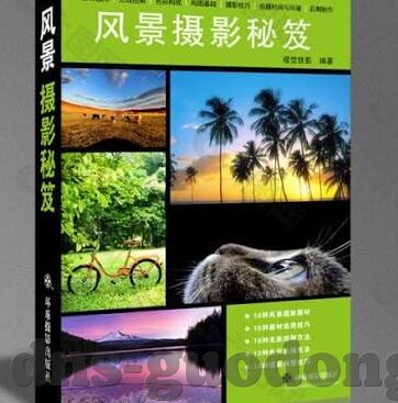 dxfff大象天美传媒-探索DXFFF大象天美传媒的多元化发展之路
