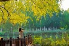 麻豆91网页-