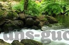 麻豆糖心vlog-麻豆糖心的日常Vlog，品味生活的温度与色彩