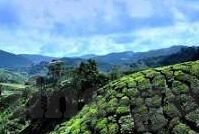 日韩av大片在线-日韩AV大片，文化、艺术与争议的交织