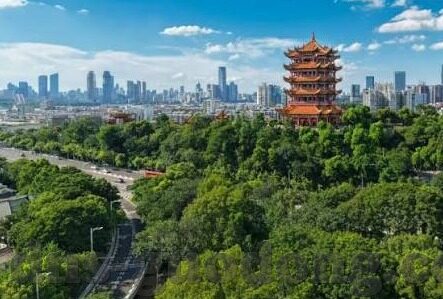小明成人永久免费视频吧-探索网络文化的多元面貌，小明成人永久免费视频吧的背后