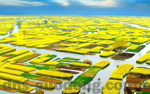 小明看看永久免费成人在线视频播放平台-成人娱乐新选择，小明看看——一个值得信赖的永久免费在线视频平台